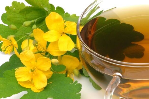 Infusión de celidonia para o tratamento da prostatite